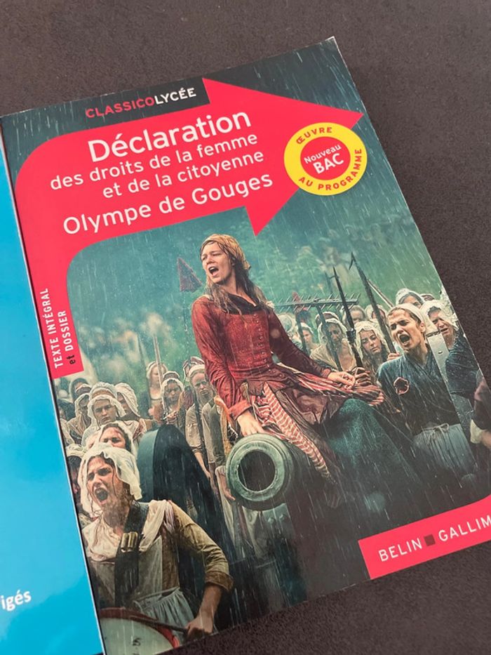 Olympe de gouge déclaration des droits de la femme et de la citoyenne livre analyse lycée bac - photo numéro 2
