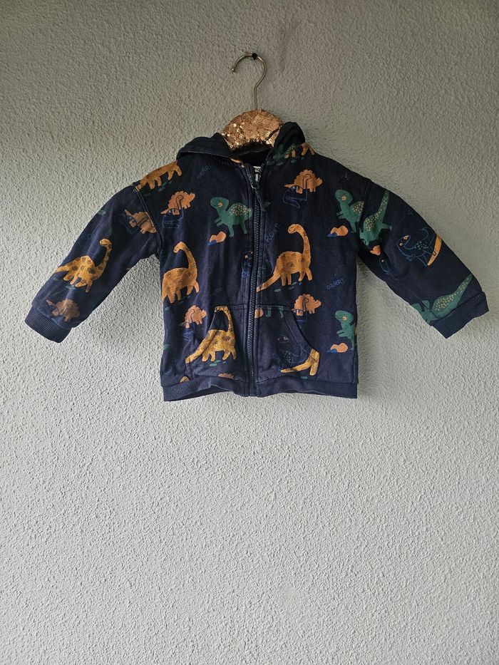 Veste zippée à capuche dinosaures pour garçon