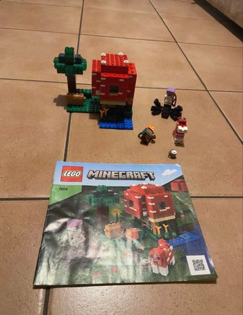 Lego Minecraft 21179