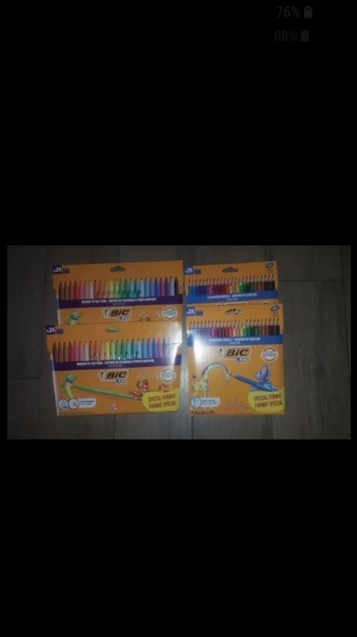 Lot feutres et crayons de couleurs bic