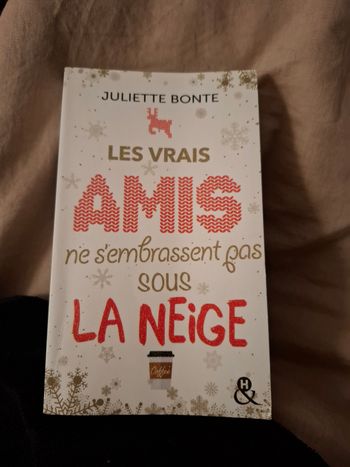 Roman Les vrais Amis ne s'embrassent pas sous la neige de Juliette Bonte en très bon état