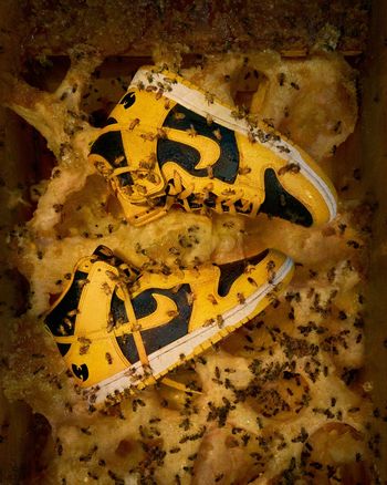 Nike WU-TANG DUNK