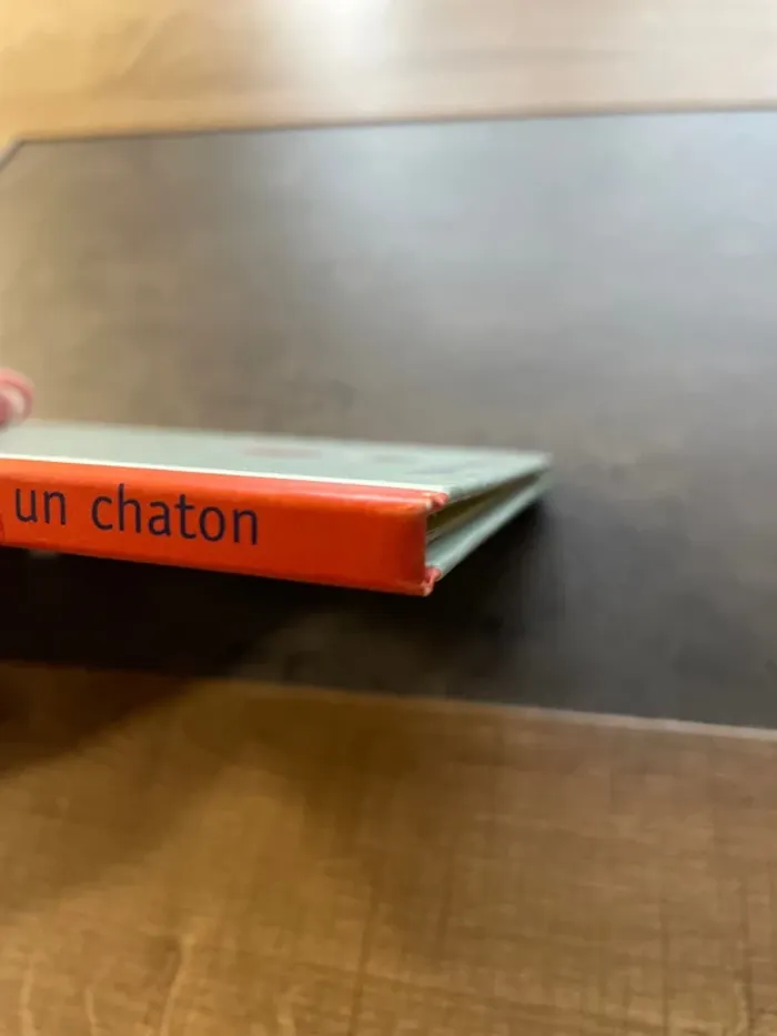 T’choupi veut un chaton Nathan - photo numéro 4