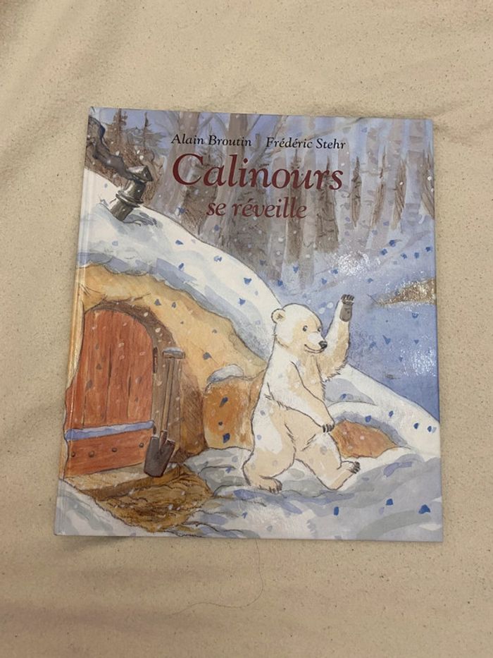 Livre Calinours se réveille
