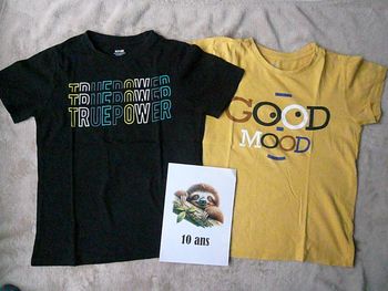 Lot de 2 tee-shirts garçon 10 ans (n°39)