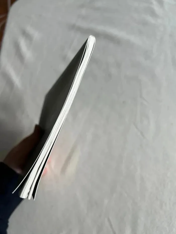 Carnet vert - photo numéro 4