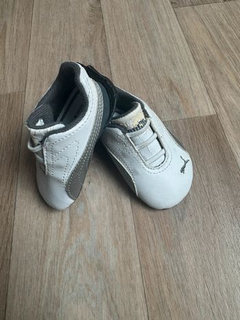 Basket puma