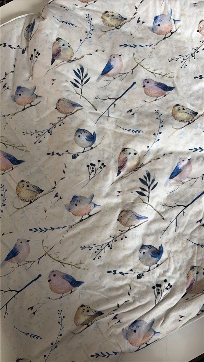 Nid d’ange bleu - photo numéro 6