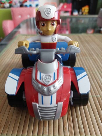 Pat patrouille 