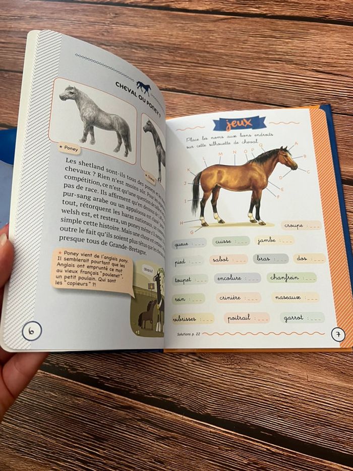 Chevaux fleurus - photo numéro 7