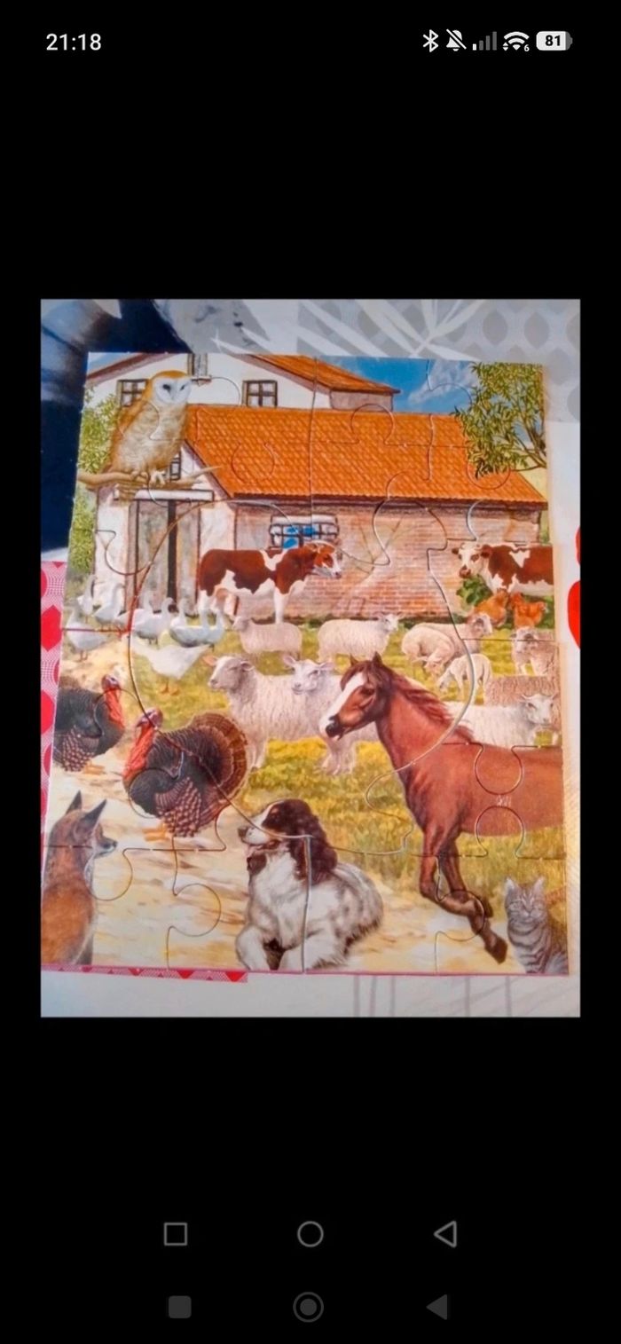 Puzzle - photo numéro 4