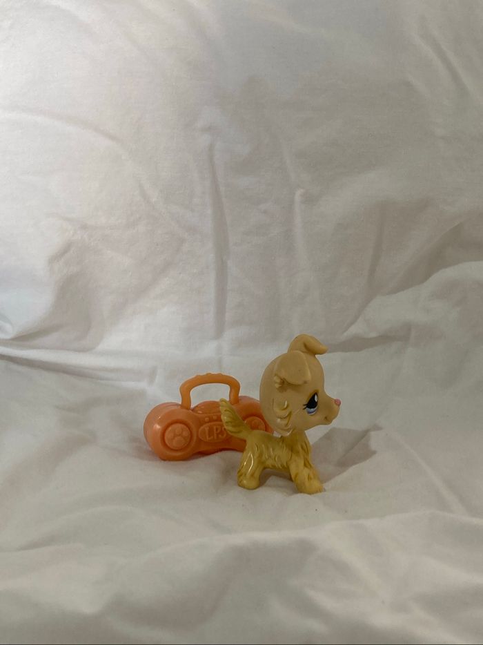 lps colley - photo numéro 4