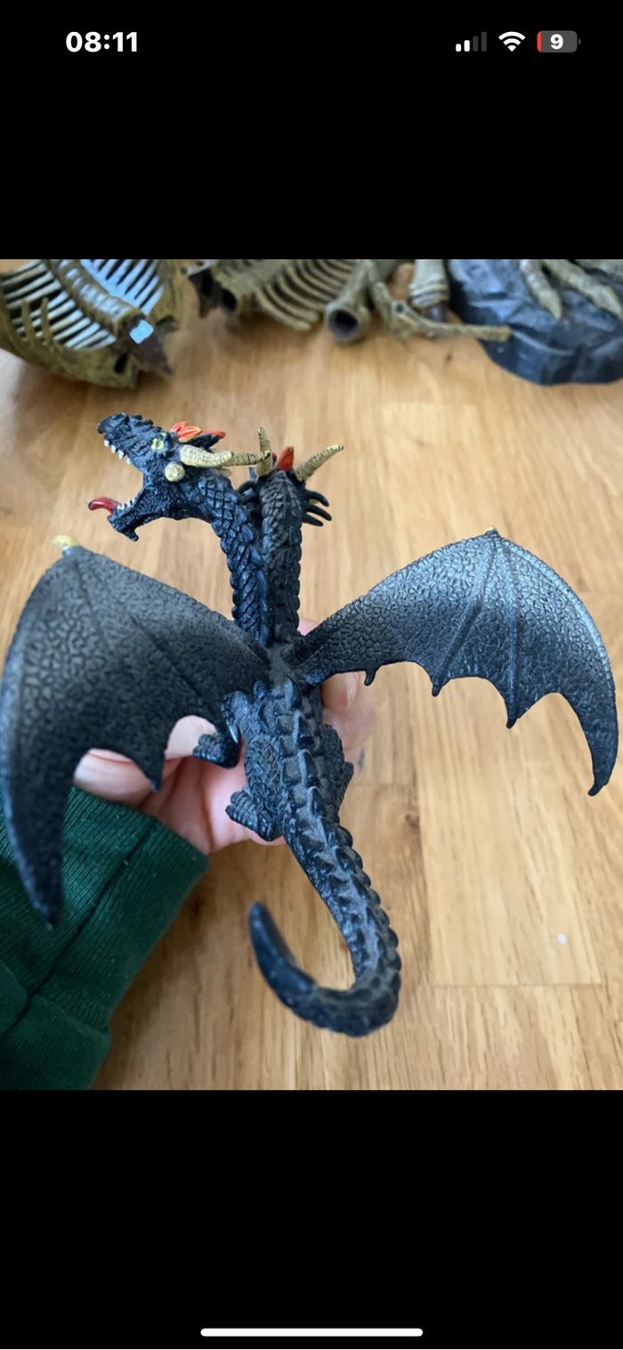 Dragon - photo numéro 5