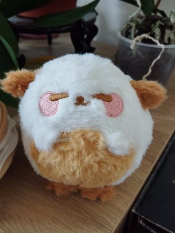 Peluche 