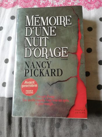 Mémoire d'une nuit d'orage