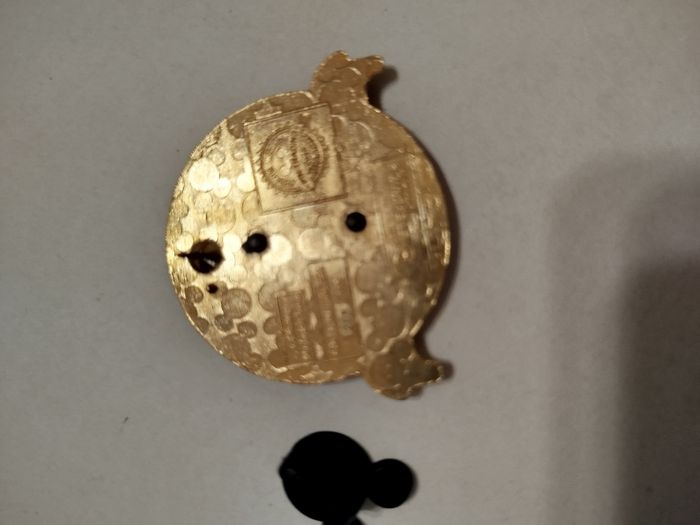 Pin's Zazu - Le roi lion - Disneyland Paris - photo numéro 4