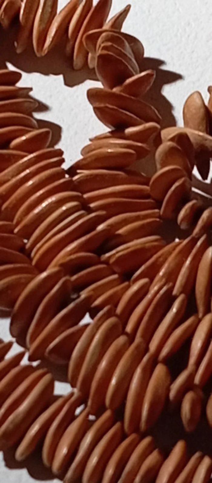 Collier sautoir en graines de citrouille - photo numéro 6