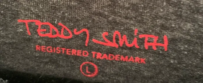 T-shirt Teddy Smith gris foncé – Taille L - photo numéro 3