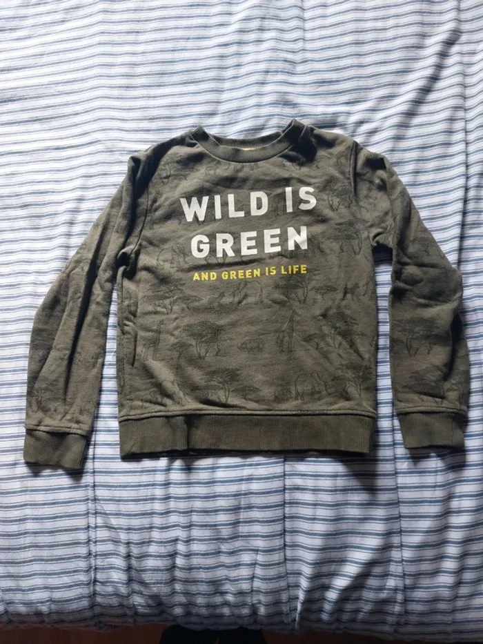Joli sweat kaki dinosaures