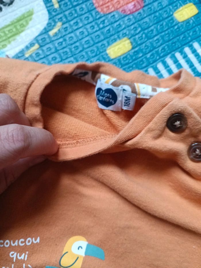 Pull 18 mois - photo numéro 4