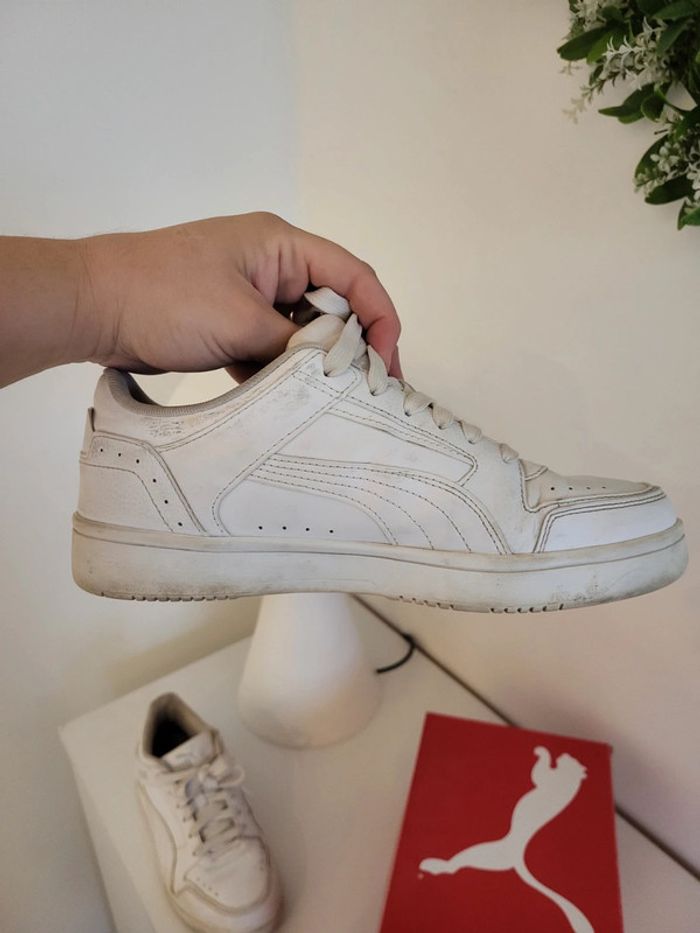 Baskets puma - photo numéro 11