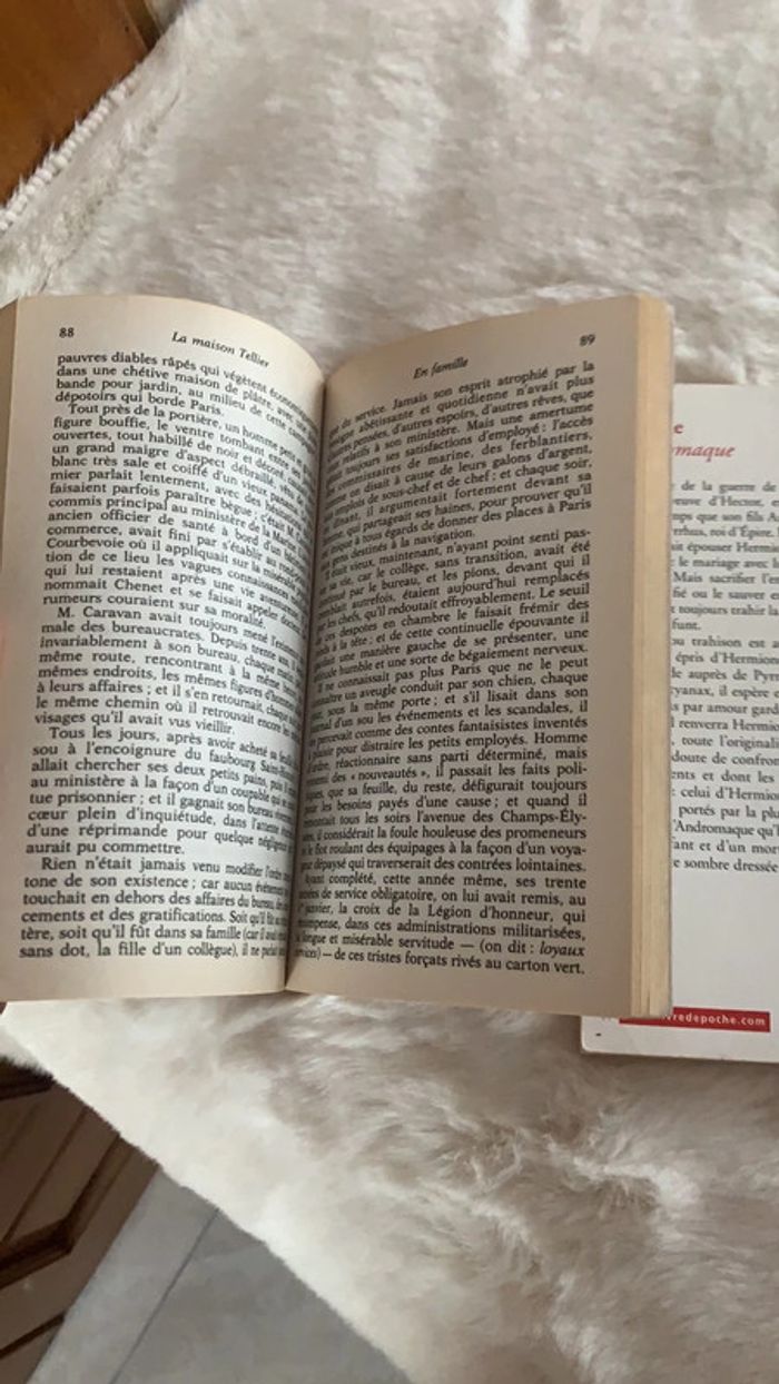 Lot maupassant racine - photo numéro 3