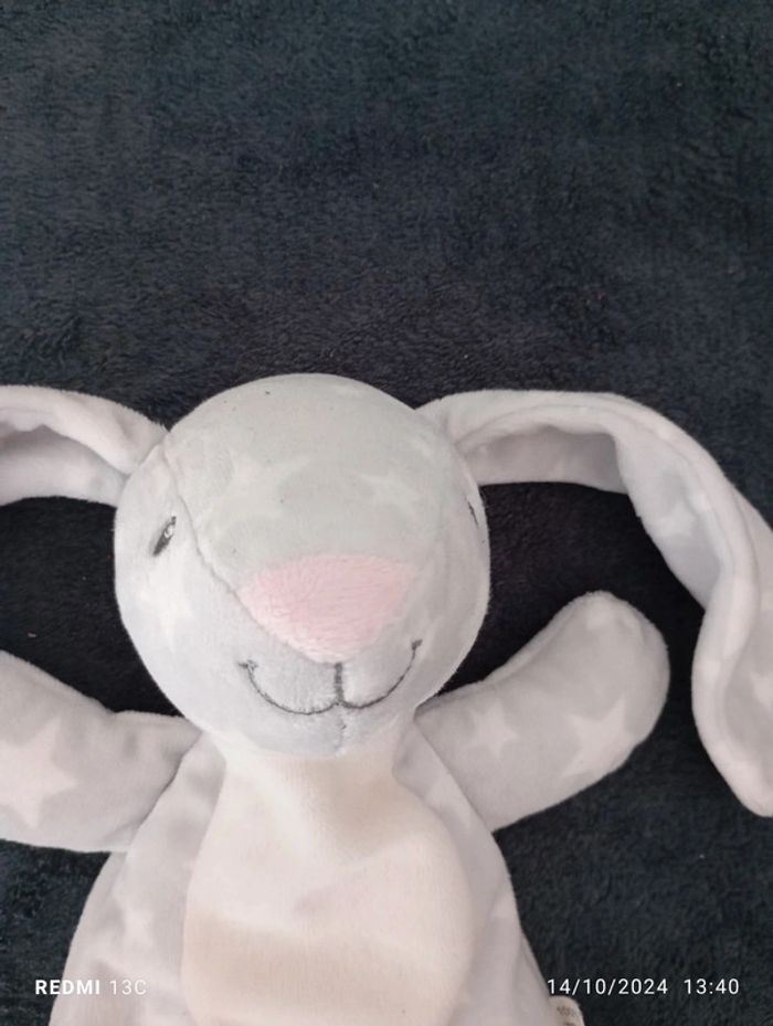 Lapins gris - photo numéro 2