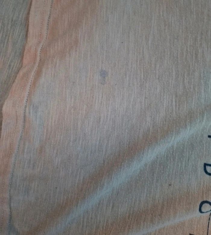 T-shirt avec léopard taille M - photo numéro 6