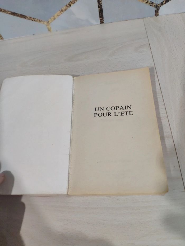 Livre poche érotique Un copain pour l'été Nalek collection Alcove adultes public averti - photo numéro 6