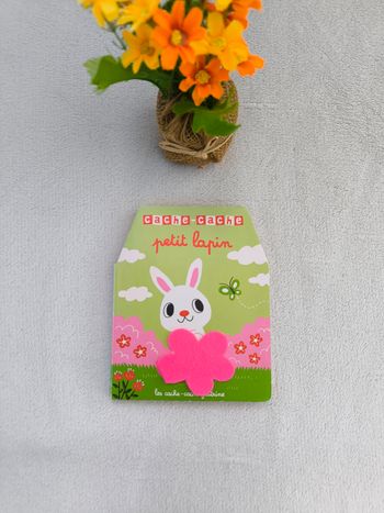 Livre Cache-cache petit lapin Nathan