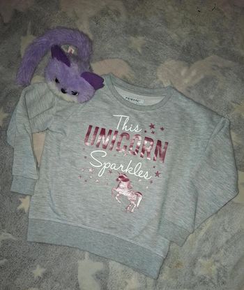pull avec licorne