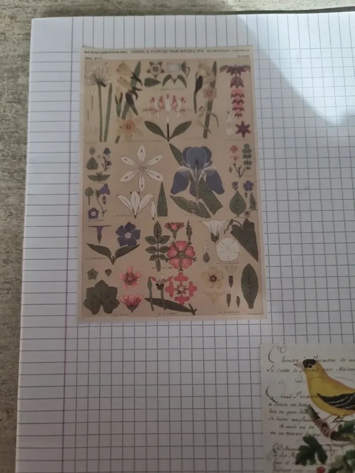 Divers papier scrap (lot C) - photo numéro 8