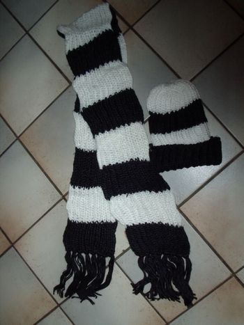 ensembe bonnet + écharpe NEUF