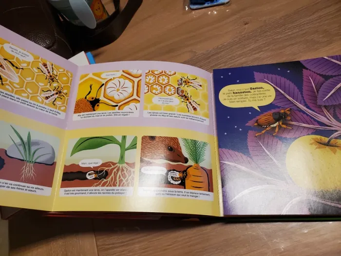 Livre Kididoc les insectes tome 47 - photo numéro 3