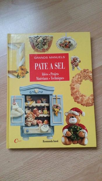 Livre pâte à sel