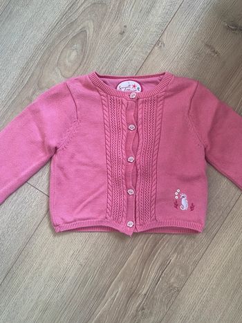 Gilet sergent major rose avec hippocampe