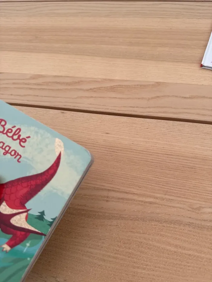 Livre à doigts bébé dragon - photo numéro 7