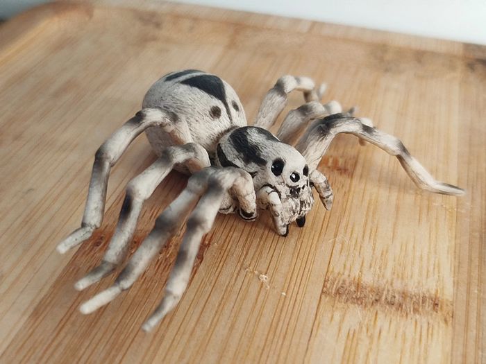 Cycle de vie de l'araignée Figurine Animal de la campagne - photo numéro 5