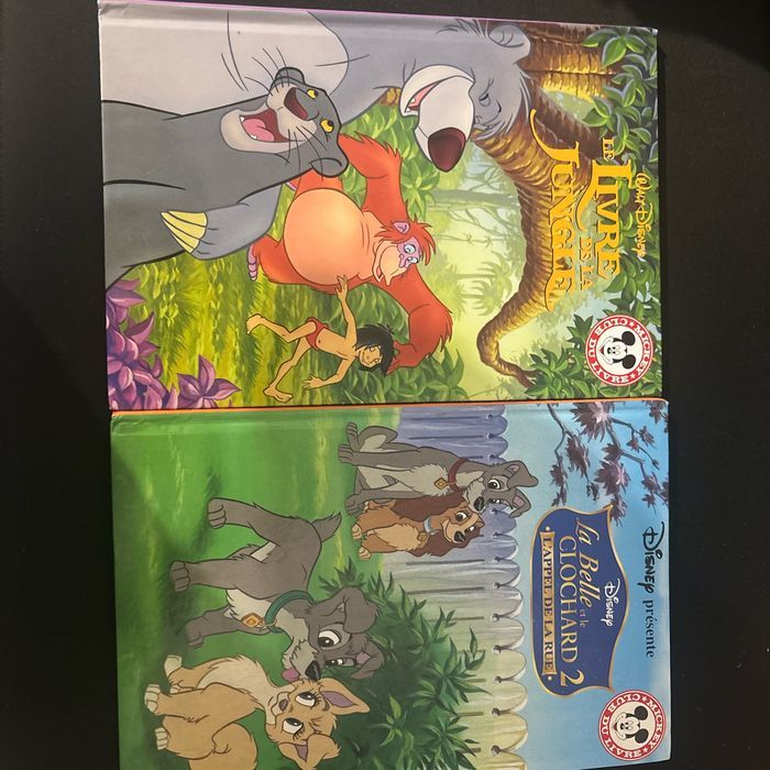 Lot de 2 livre Disney pour enfant très bonne état