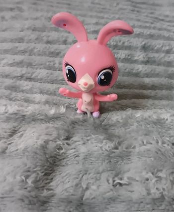 Petshop lapin 3800