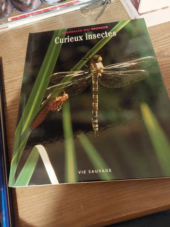 Livre  curieux insectes 
