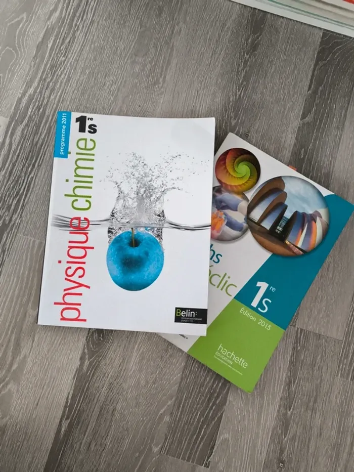 Lot de 2 livres scolaires 1ere S