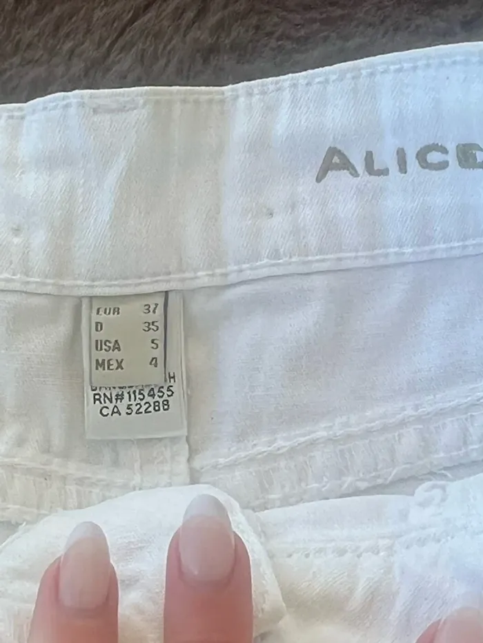Short Alice - photo numéro 3