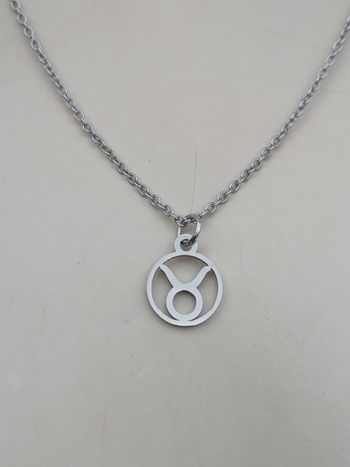 Collier en acier inoxydable argenté signe astrologique taureau ♉️