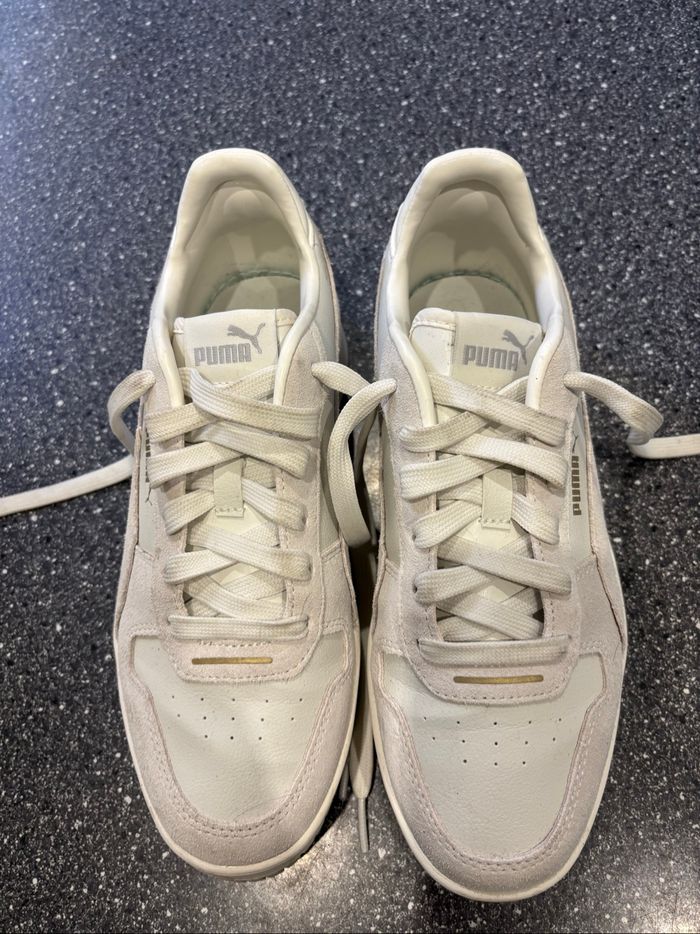 Puma Carina - photo numéro 2