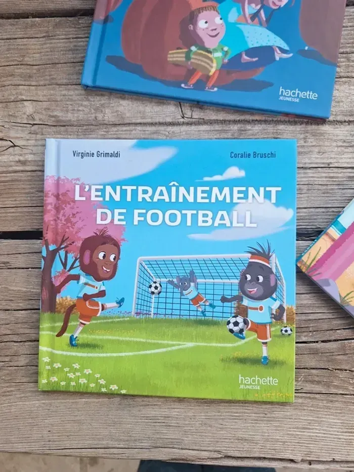 Lot de 4 livres enfants hachette Virginie grimaud, Alexandre - photo numéro 12