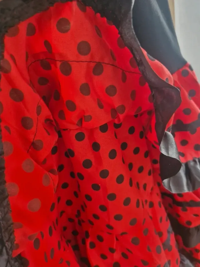 Robe 5 ans - photo numéro 3