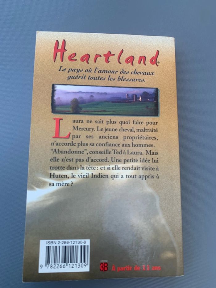 Heartland Le messager de l’espoir Lauren Brooke - photo numéro 2