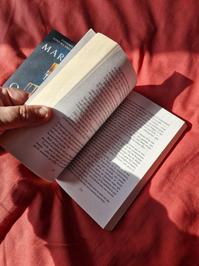 Intégrale Saga Marquer les ombres Best Seller - photo numéro 6