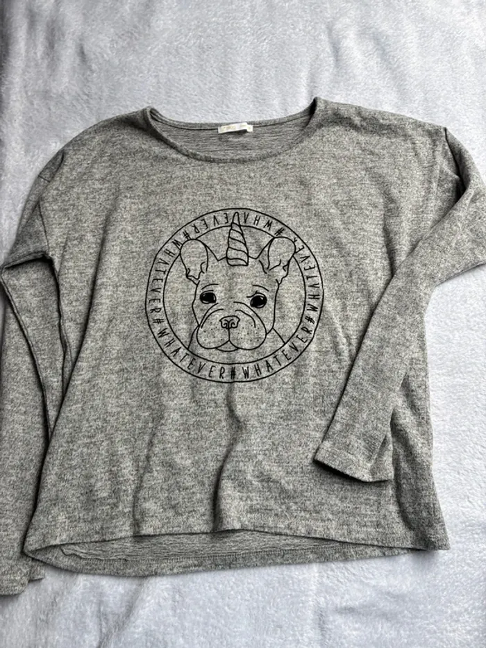 Pull gemo 16 ans - photo numéro 3